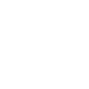 Salt Branch Technology Group logo